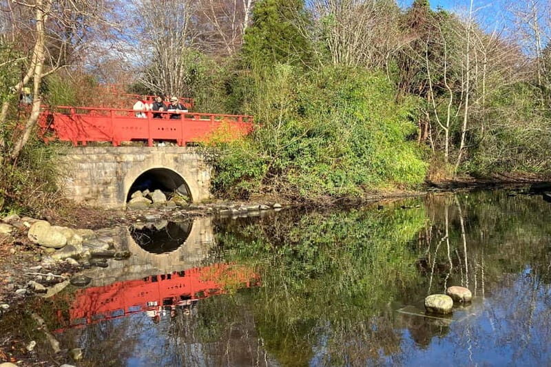 Edinburgh: Dean Village, Circus Lane & Botanic Garden Walk - Final Thoughts