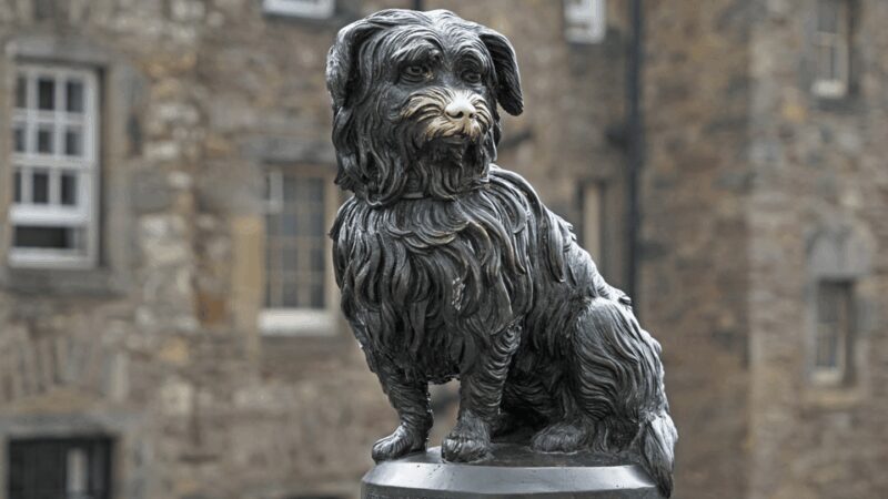 Edinburgh: Discover Edinburgh's Old Town Walking Tour - What Is Included in the Tour?