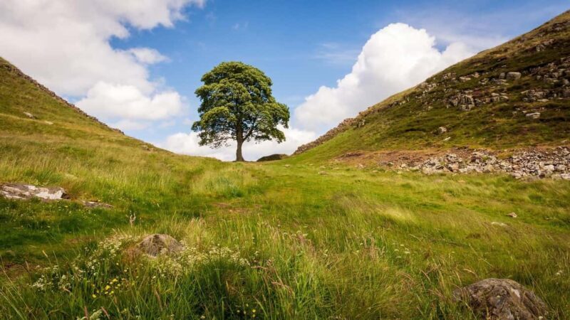 Edinburgh: Hadrian's Wall & Scottish Borders Day Trip - A Deep Dive into the Day’s Journey