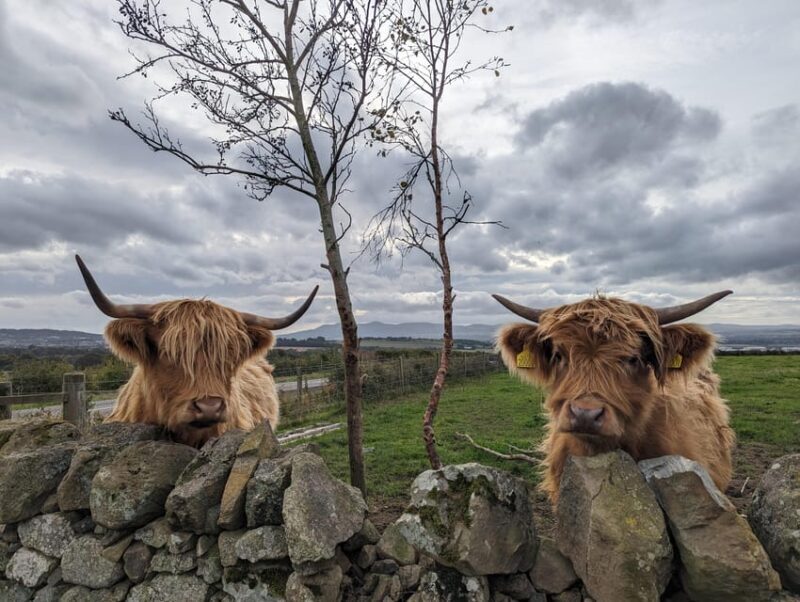 Edinburgh: Harry Potter, Glenfinnan Viaduct & Highland Tour - Final Thoughts