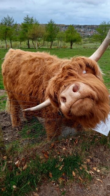 Edinburgh: Hill & Nature Hike With a Local - FAQ