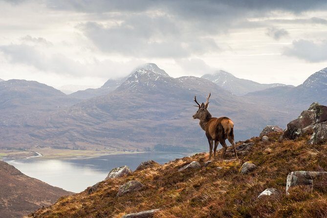 Edinburgh: Isle of Skye, Highlands and Loch Ness 3-Day Tour - An In-Depth Look at the Itinerary and Experience