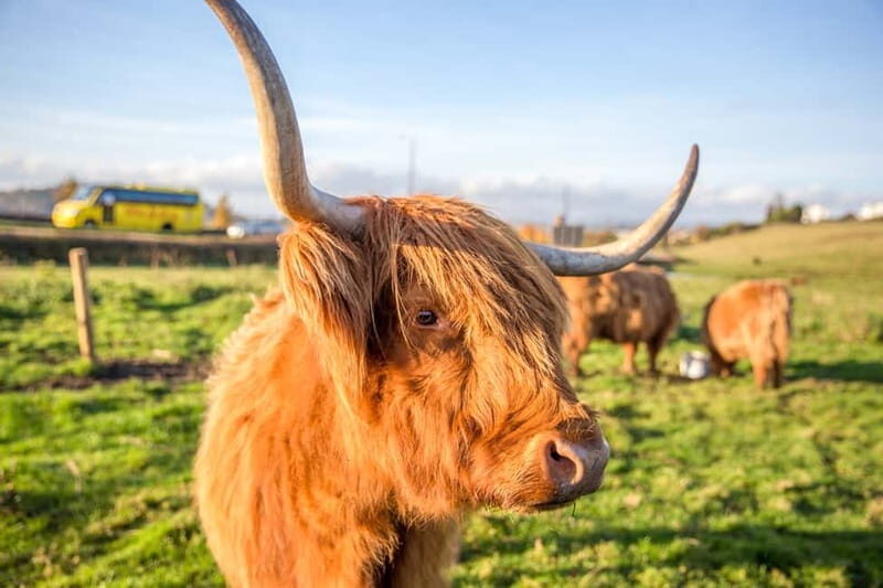 Edinburgh: Isle of Skye, Inverness, and Highlands 3-Day Tour - FAQs