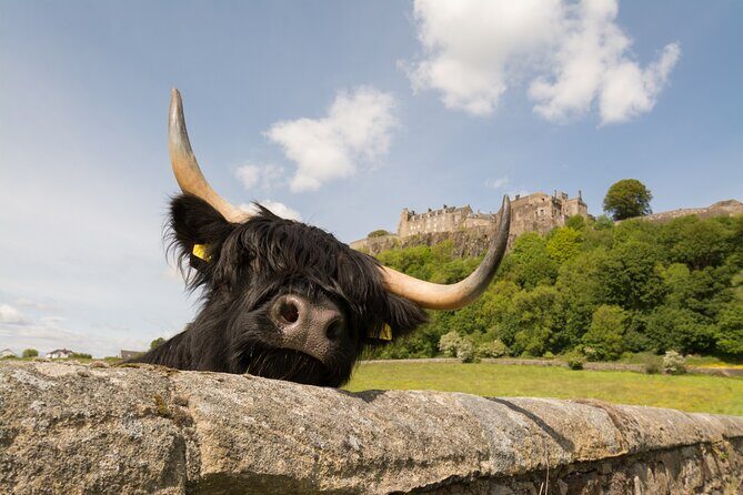 Edinburgh: Loch Lomond, Stirling Castle and the Kelpies Day Tour - The Kelpies & The Helix — Starting with Mythical Majesty