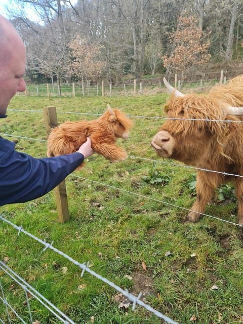 Edinburgh: Loch Ness, Glencoe, Coos & the Highlands Day Tour - Final Words