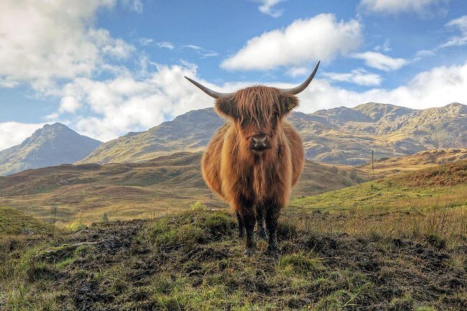 Edinburgh: Loch Ness, Glencoe & The Highlands Day Trip - Authentic Insights from Travelers
