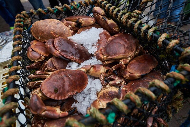 Edinburgh: Oban, Kilchurn Castle & Inveraray Tour in Spanish - A Complete Breakdown of the Day Trip