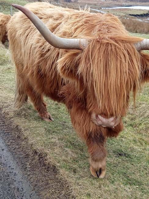 Edinburgh: Stirling, Highlands, Loch Ness, Mull 5-Day Tour - Practical Considerations