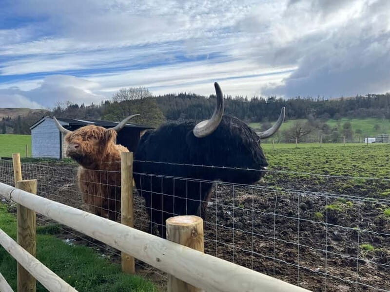 Edinburgh: The Kelpies, Loch Lomond & Trossachs Day Trip - Final Thoughts
