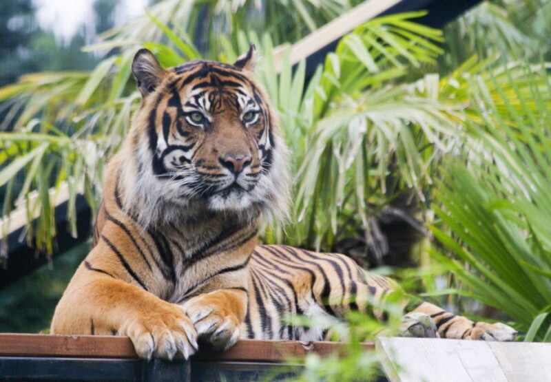 Edinburgh Zoo Entrance Ticket - Value for Money