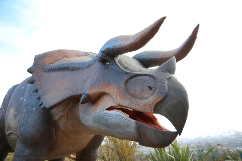 Edinburgh Zoo Entrance Ticket - Insider Tips for Visiting