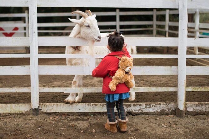 Educational Farm Adventure Tour on Bainbridge Island - A Closer Look at the Itinerary