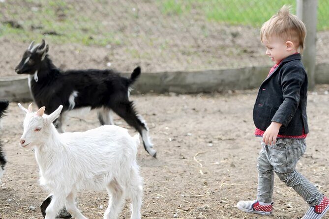 Educational Farm Adventure Tour on Bainbridge Island - Why You Should Consider This Tour