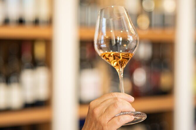 Educational wine tasting in Split - The Sum Up