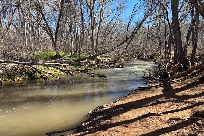 Effortlessly E Bike the Verde Valley Riparian Habitat - A Deep Dive into the Verde Valley E-Bike Tour