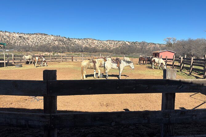 Effortlessly E Bike the Verde Valley Riparian Habitat - The Sum Up