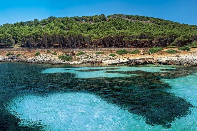 Egadi Sail Boat Tour to Favignana and Levanzo from Trapani - The Sum Up