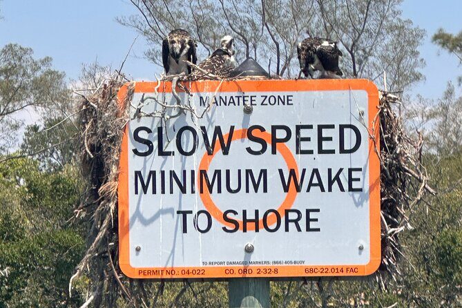 Egmont Key Adventure Departing From Sarasota or Anna Maria Island - What to Expect from the Egmont Key Adventure