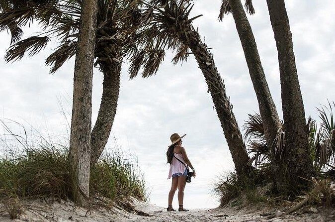 Egmont Key Ferry from Ft. DeSoto Park - Final Thoughts: Is It a Good Value?