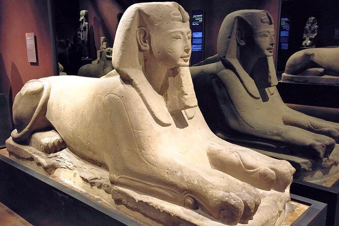 Egyptian Museum of Turin Private Tour with Expert Guide & Skip-the-line Tickets - Introduction to the Egyptian Museum in Turin
