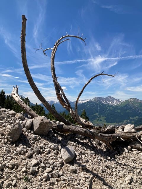 Ehrwald: Hiking Tour into breath taking Nature - What to Expect from the Guided Tour