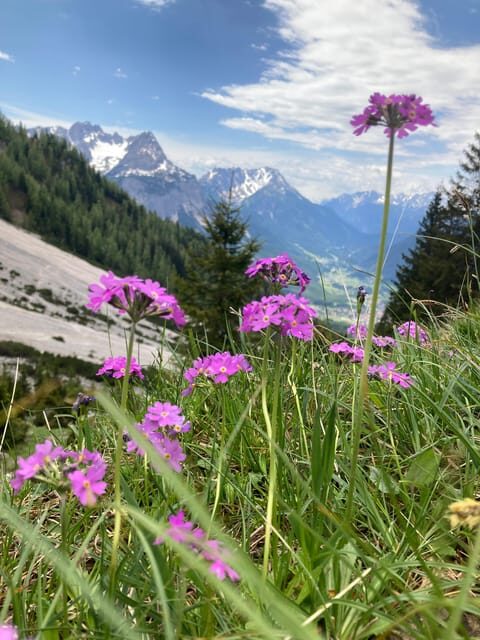 Ehrwald: Hiking Tour into breath taking Nature - Practical Tips for Participants