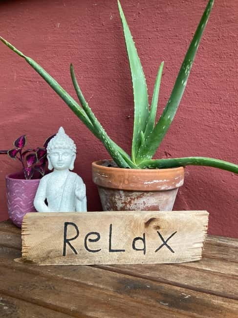 Ehrwald: Time to Relax-Outdoor Yoga in Mountain Scenery - Key Points