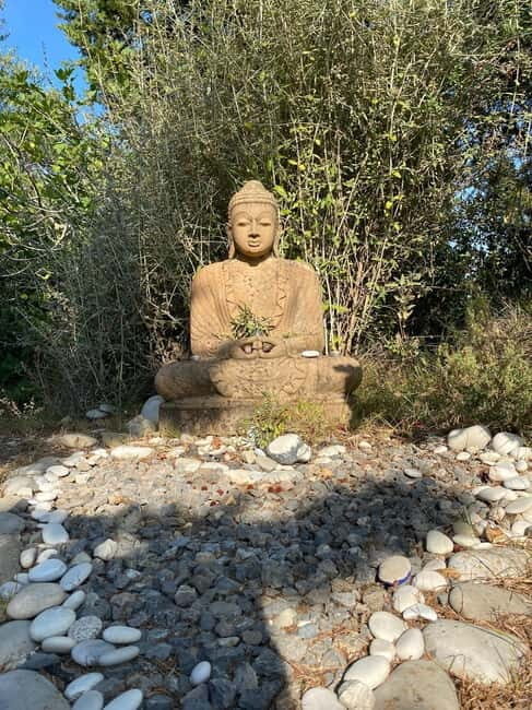 Ehrwald: Time to Relax-Outdoor Yoga in Mountain Scenery - Who Should Consider This Experience?