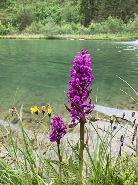 Ehrwald: Trailrunning Tours - The Guides: Knowledgeable and Supportive