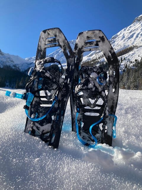 Ehrwald: Zugspitze Snowshoe Hiking Tour with Mountain Views - An In-Depth Look at the Zugspitze Snowshoe Hike