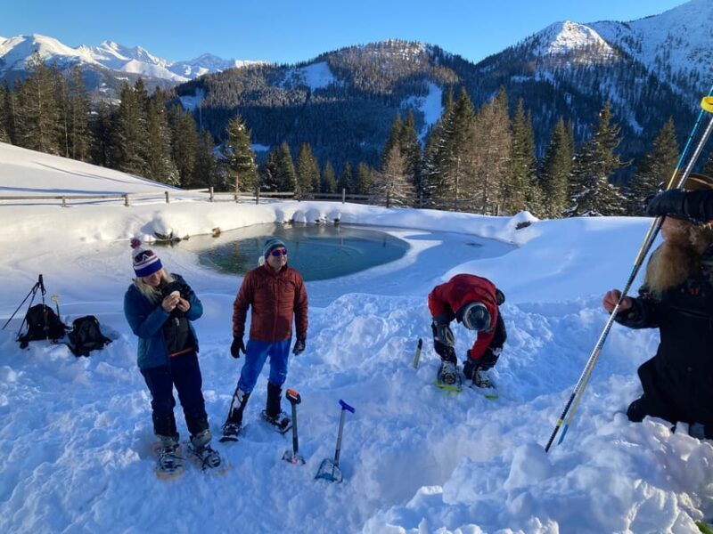 Ehrwald: Zugspitze Snowshoe Hiking Tour with Mountain Views - Practical Tips for Future Participants