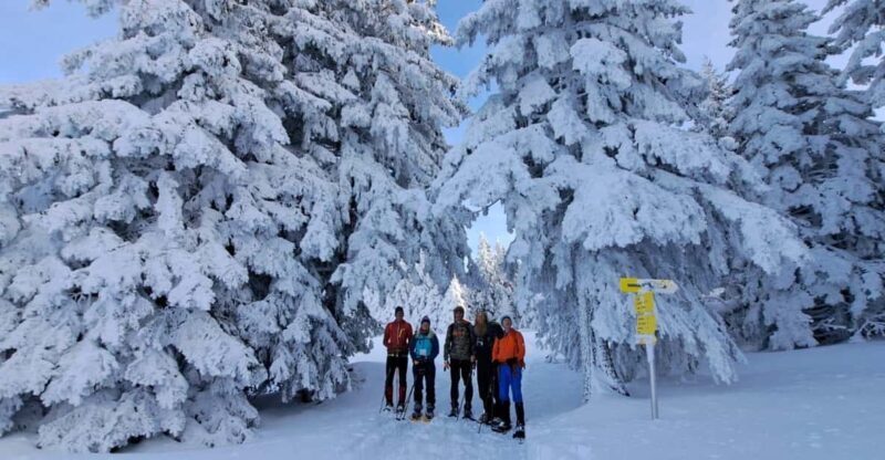 Ehrwald: Zugspitze Snowshoe Hiking Tour with Mountain Views - The Sum Up