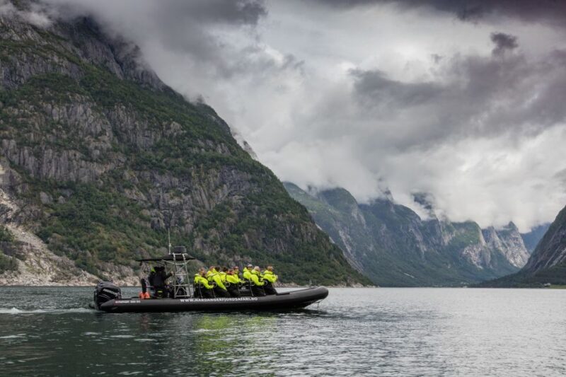 Eidfjord: 1-Hour Fjord RIB Tour - A Deep Dive into the Experience