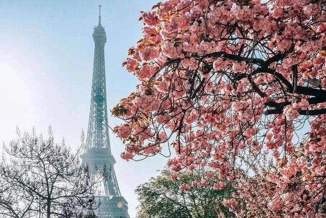 Eiffel Tower Guided Access up to the 2nd Floor or Summit by Lift - The Sum Up