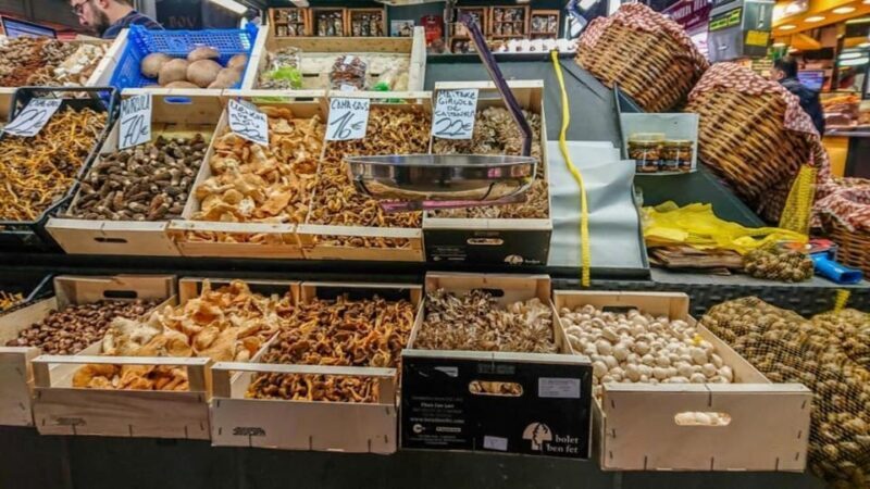 El Born Barcelona: Group Tour Tastings of Catalonia Cuisine - Final Thoughts