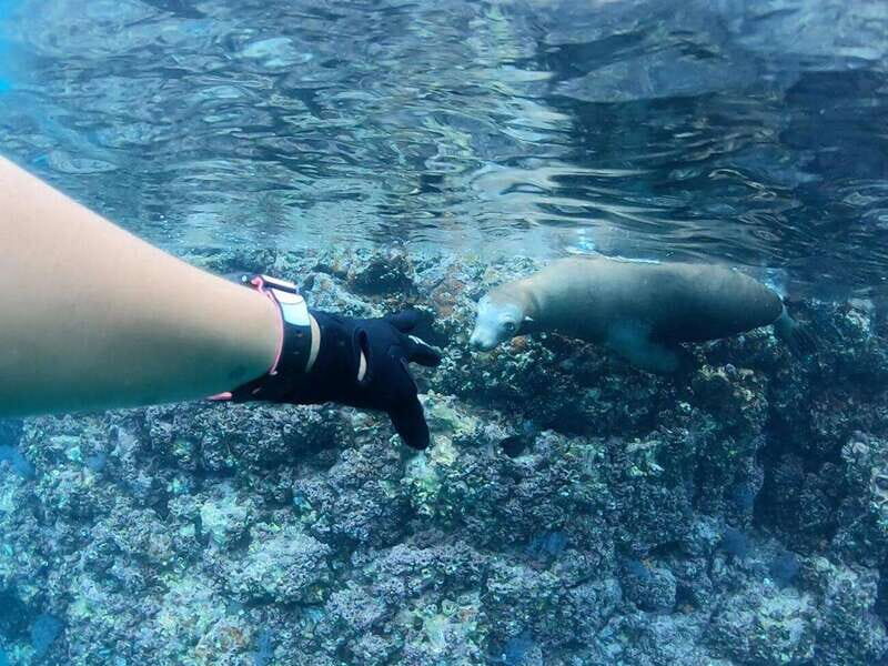 El Cabo: Incredible Private Tour to Espiritu Santo - Key Points