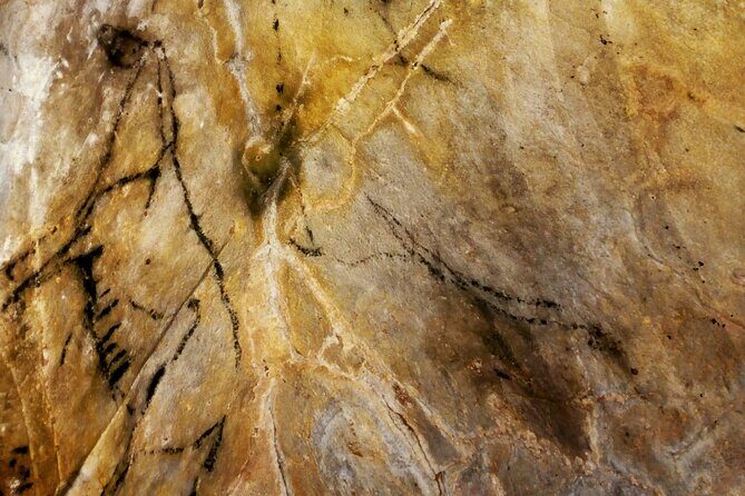 El Castillo Caves and Paleotithic Art- small groups - Who Will Love This Tour?