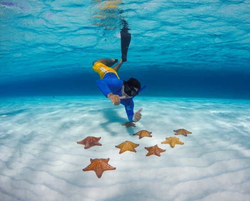 El Cielo and El Cielito Catamaran Tour with Slide and Open Bar - Who Will Love This Tour?