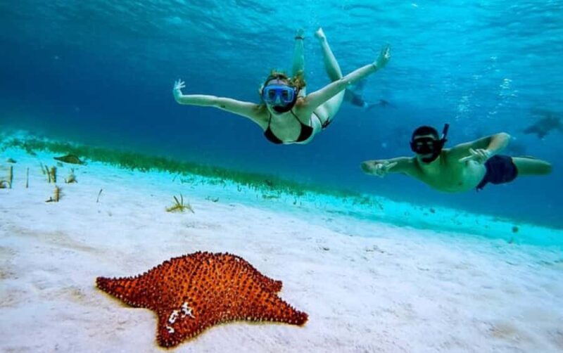 El Cielo and El Cielito Catamaran Tour with Slide and Open Bar - Practical Tips for Booking and Participation