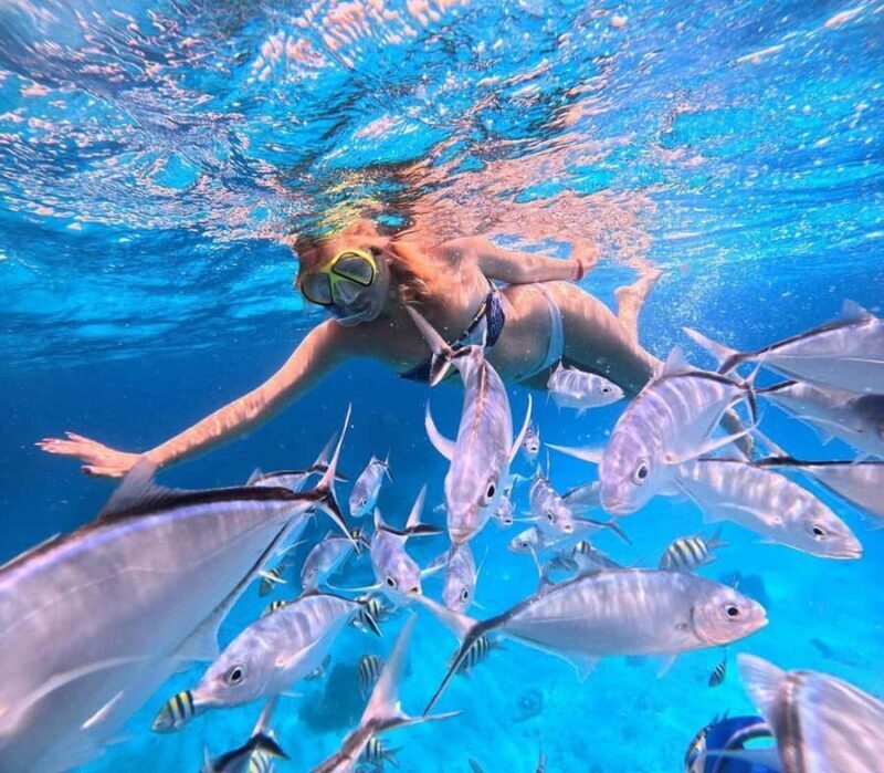 El Cielo and El Cielito Catamaran Tour with Slide and Open Bar - Frequently Asked Questions