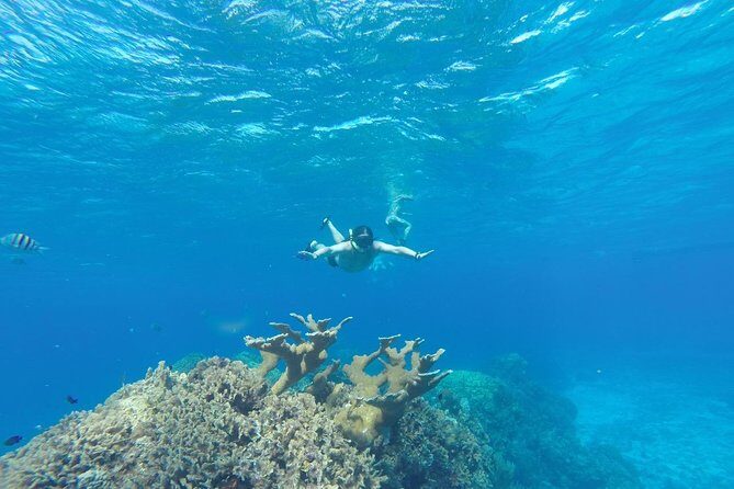 El Cielo and Snorkel Private Excursion - FAQ