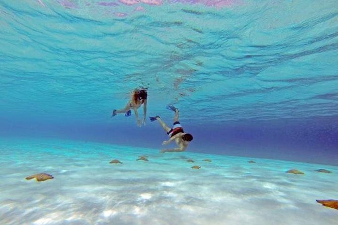El Cielo Cozumel, a paradisiacal tour. Be amazed by the stars near to you. - The Reef Exploration: What You Can Expect