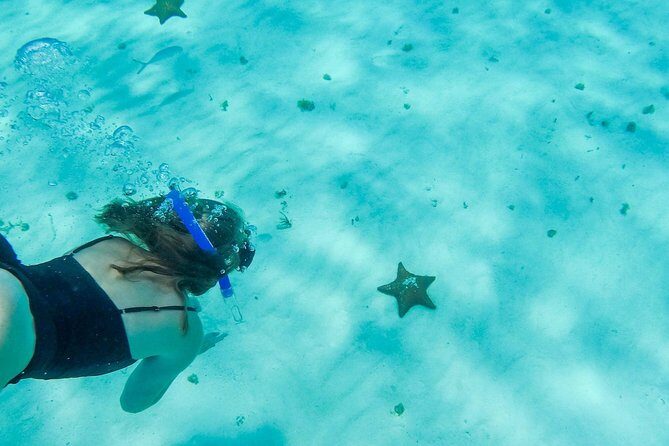 El Cielo Cozumel, a paradisiacal tour. Be amazed by the stars near to you. - Authentic Traveler Experiences