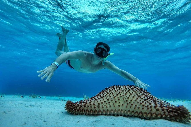 El Cielo Cozumel, a paradisiacal tour. Be amazed by the stars near to you. - Summing It Up: The Value and Who It’s For