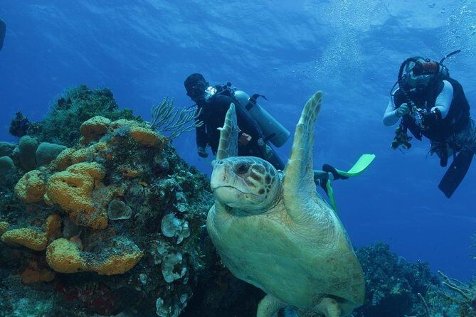 El Cielo Cozumel - The Overview: What’s the Tour All About?