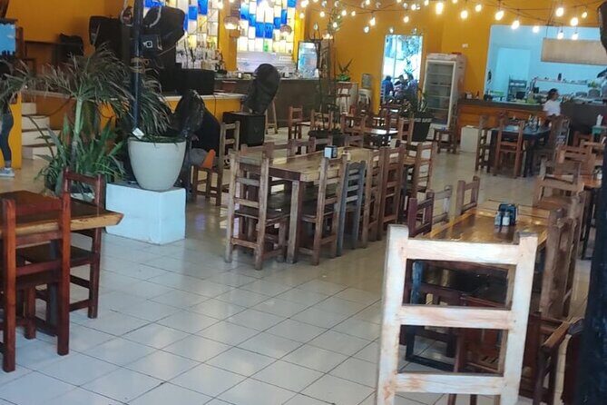 El Cielo Cozumel - Transportation & Group Size: Why It Matters