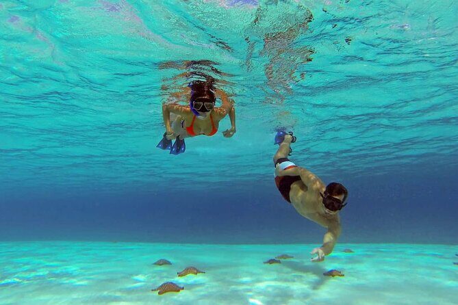 El cielo Cozumel From Cancún and round Transfer with Lunch - The Itinerary Breakdown: What to Expect