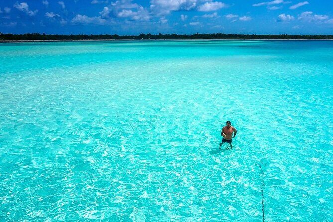 El cielo Cozumel From Cancún and round Transfer with Lunch - Who Should Book This Tour?