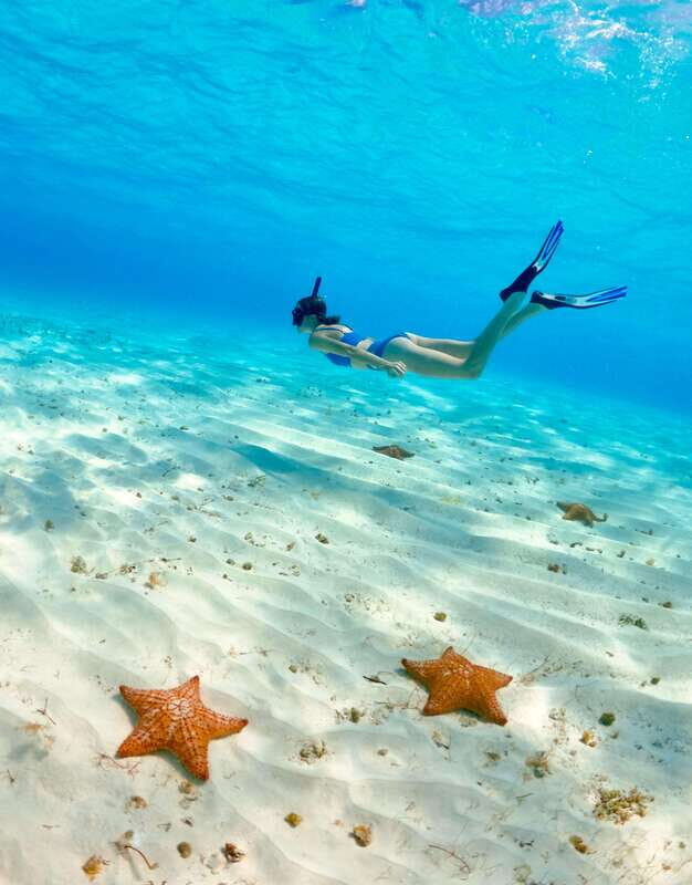 El Cielo Cozumel private snorkel tour - Why choose the El Cielo Cozumel private snorkel tour?