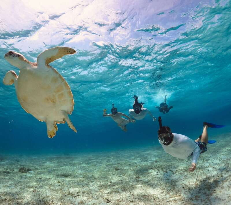 El Cielo Cozumel private snorkel tour - What makes this tour stand out?